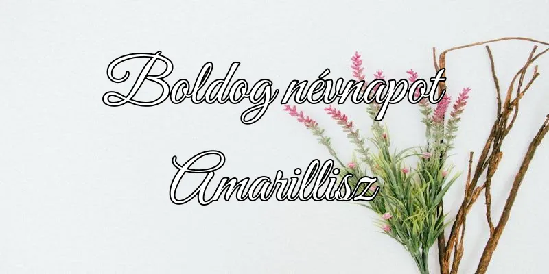 Amarillisz névnapi köszöntő képeslap