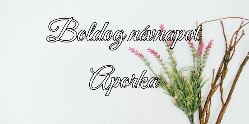 Aporka névnapi köszöntő képeslap