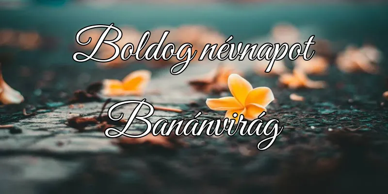 Banánvirág névnapi köszöntő képeslap