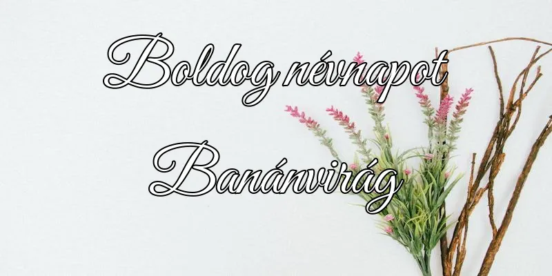 Banánvirág névnapi köszöntő képeslap