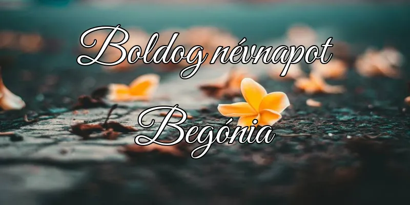 Begónia névnapi köszöntő képeslap