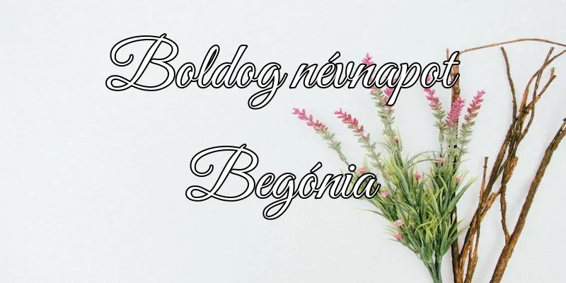 Begónia névnapi köszöntő képeslap