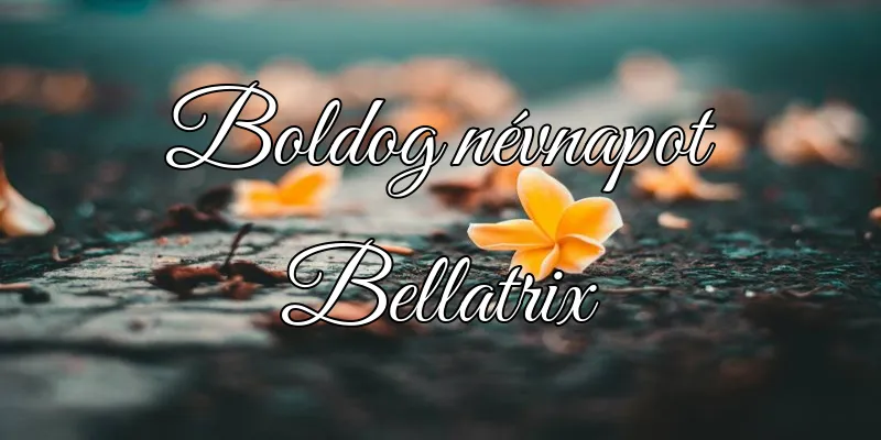 Bellatrix névnapi köszöntő képeslap