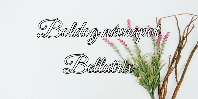 Bellatrix névnapi köszöntő képeslap