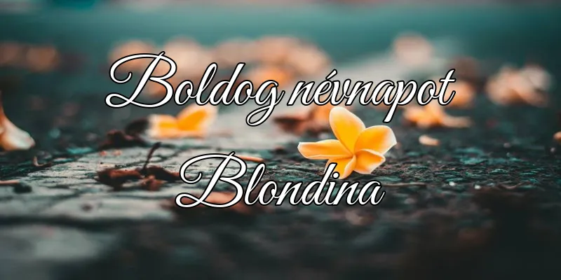 Blondina névnapi köszöntő képeslap