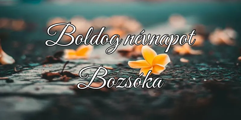 Bozsóka névnapi köszöntő képeslap