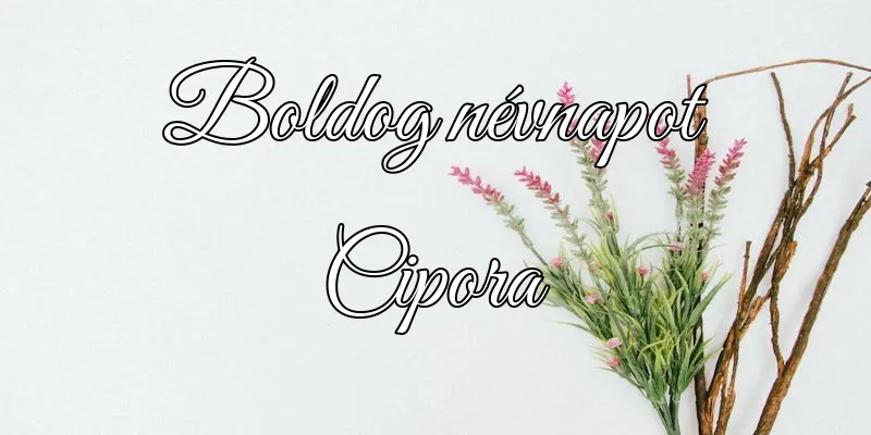 Cipora névnapi köszöntő képeslap