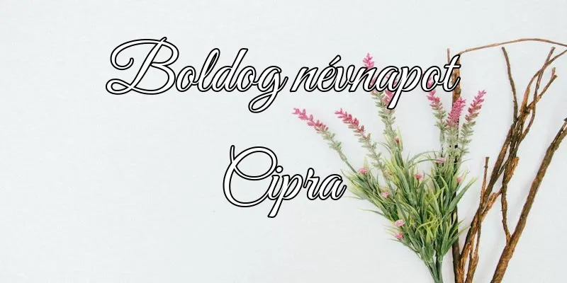 Cipra névnapi köszöntő képeslap