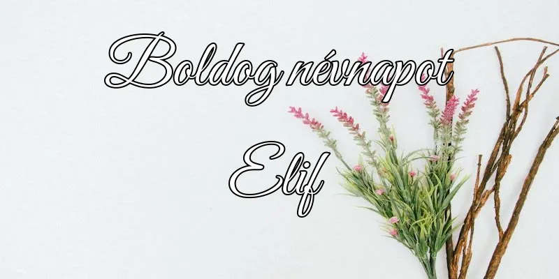 Elif névnapi köszöntő képeslap