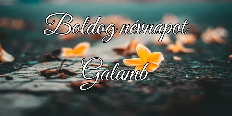 Galamb névnapi köszöntő képeslap