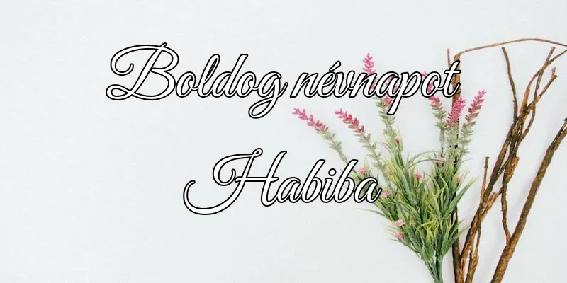 Habiba névnapi köszöntő képeslap