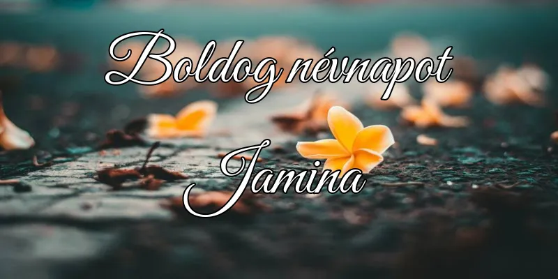 Jamina névnapi köszöntő képeslap