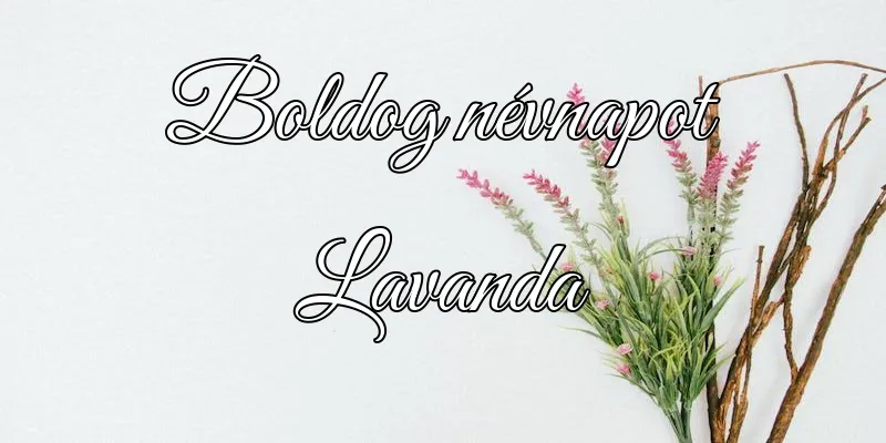 Lavanda névnapi köszöntő képeslap