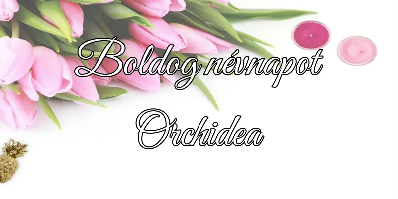 Orchidea névnapi köszöntő képeslap