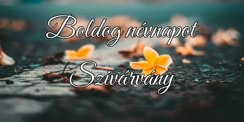 Szivárvány névnapi köszöntő képeslap