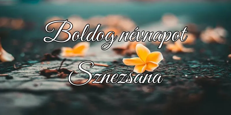 Sznezsana névnapi köszöntő képeslap