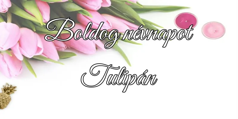 Tulipán névnapi köszöntő képeslap